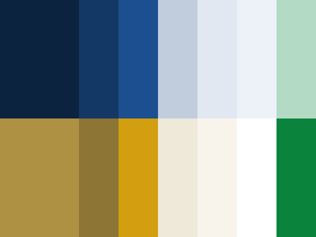 Notre Dame MSA color palette